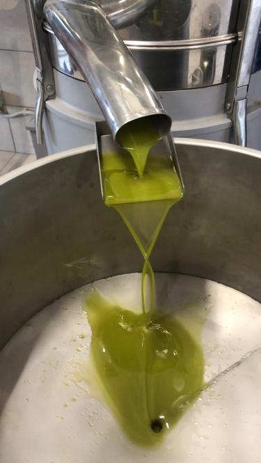 Versamento Olio